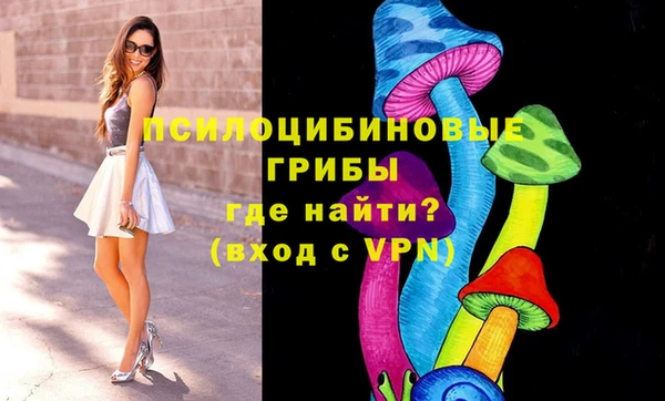 Альфа ПВП Абаза